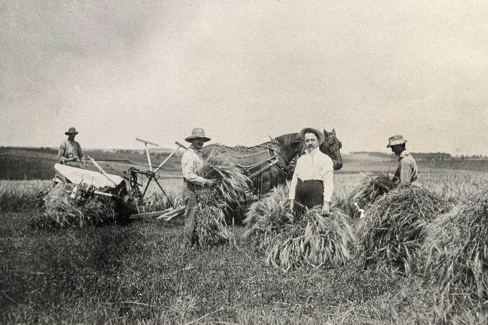 Harvest: How Farming Reshaped the Hills Around New Glarus