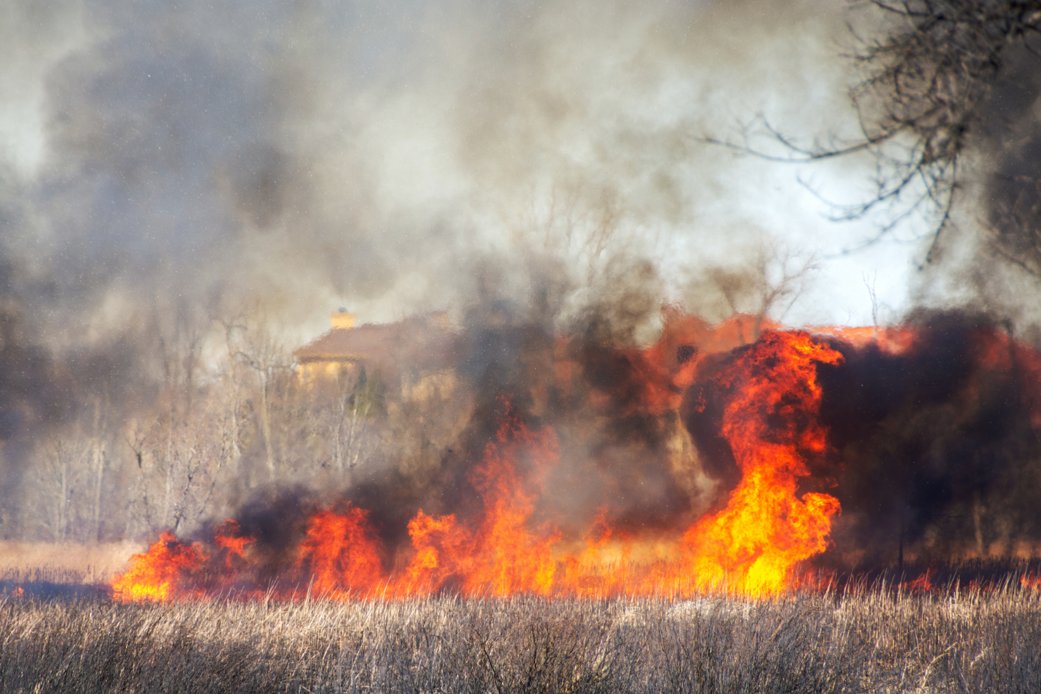 Elevated Fire Risk and Wind Advisory for New Glarus