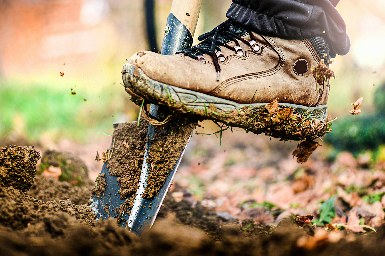 Gardening in Zone 5: Preparing for Spring