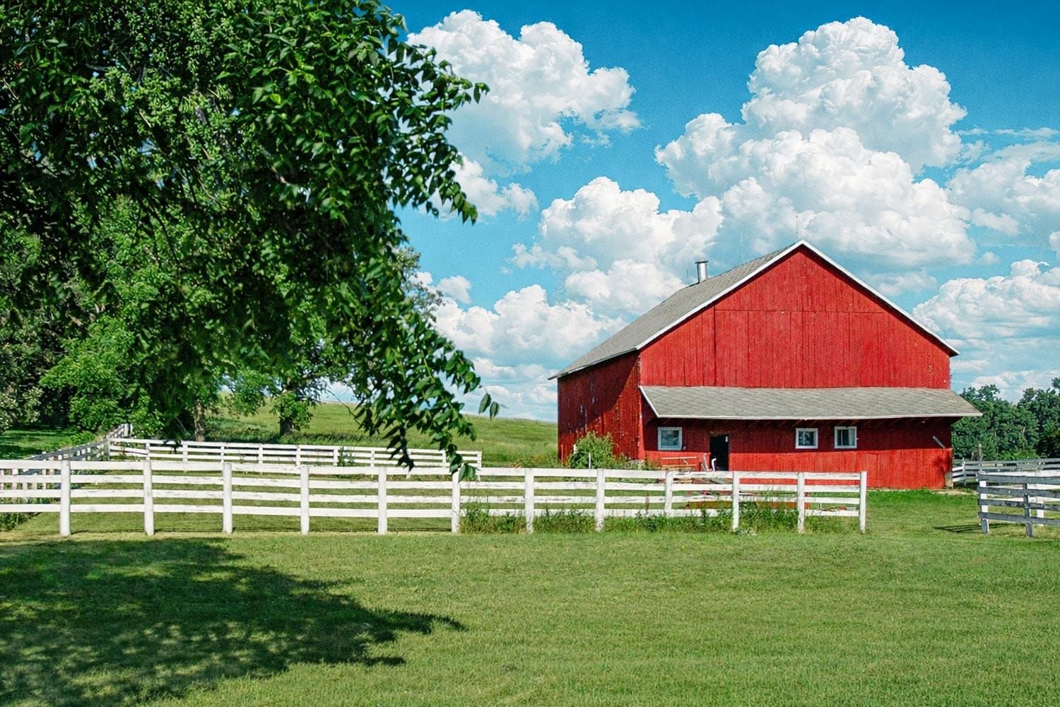 Counties Invited to Bid for Alice in Dairyland Finals