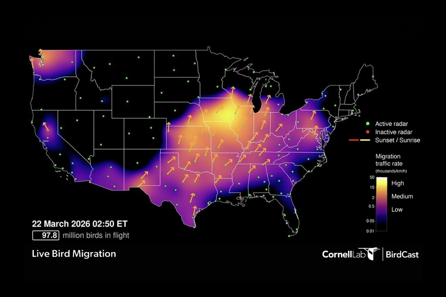 Bird Migration Surges Over Green County