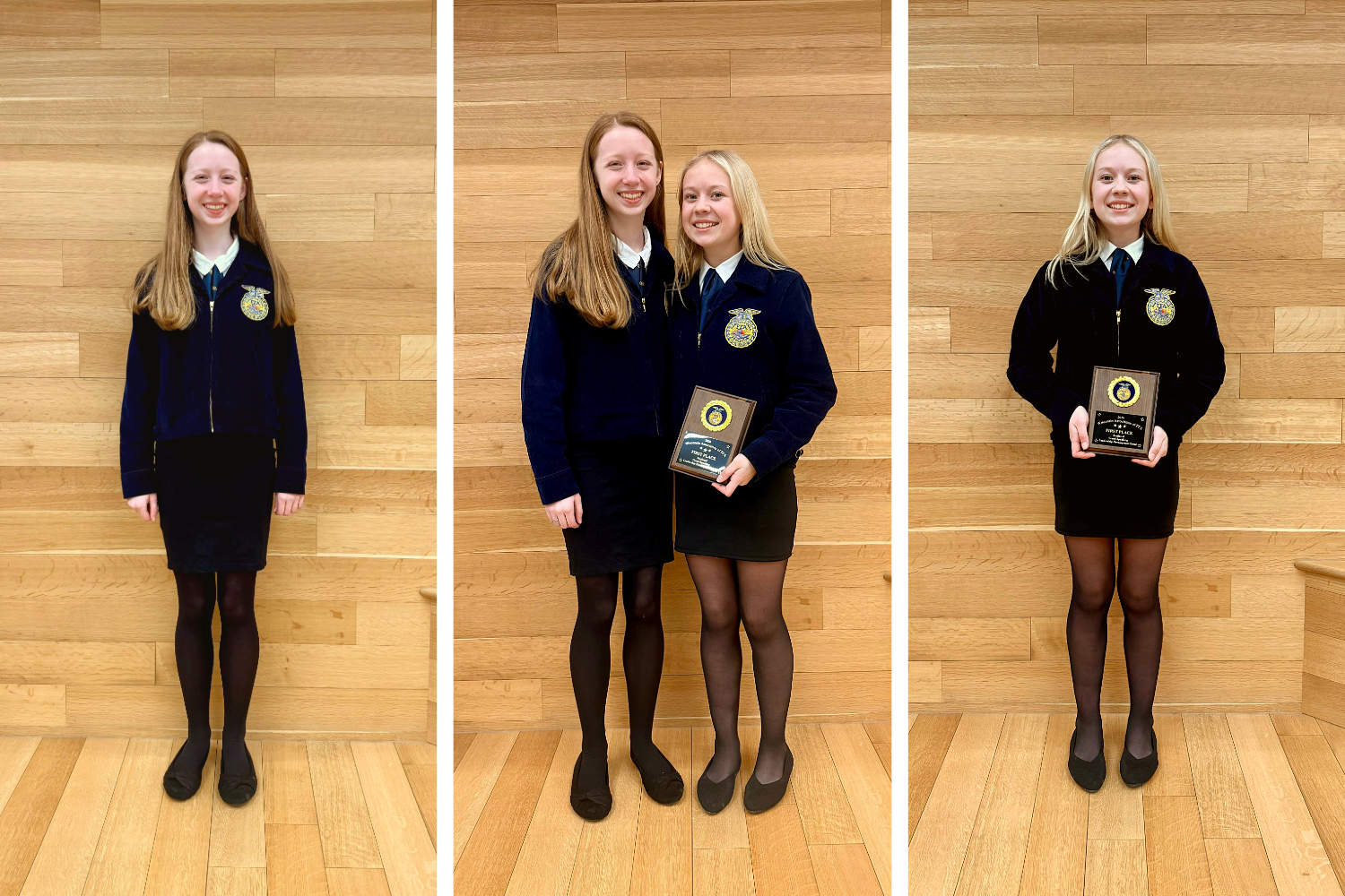 New Glarus FFA Students Shine at Sectional Event