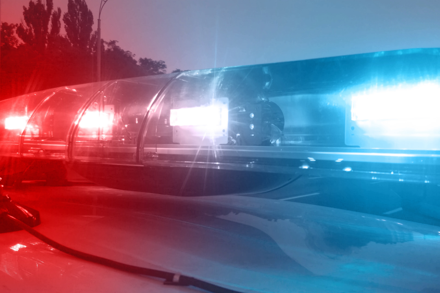 New Glarus Police Assist in Belleville School Search