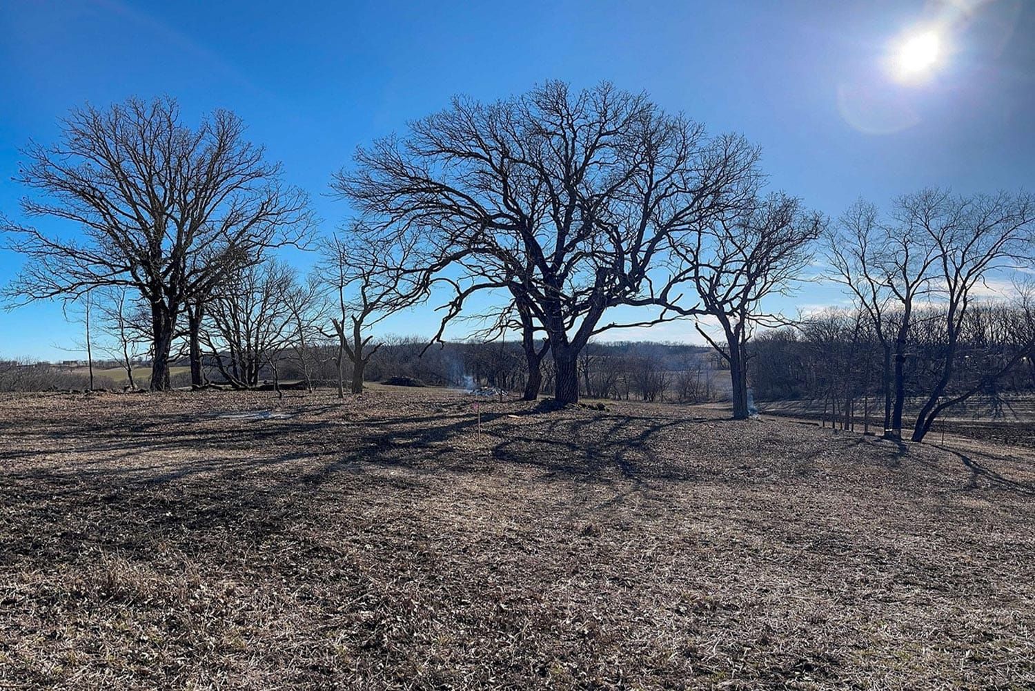 Letter to the Editor: Re-Elect Pernitz to the New Glarus Town Board