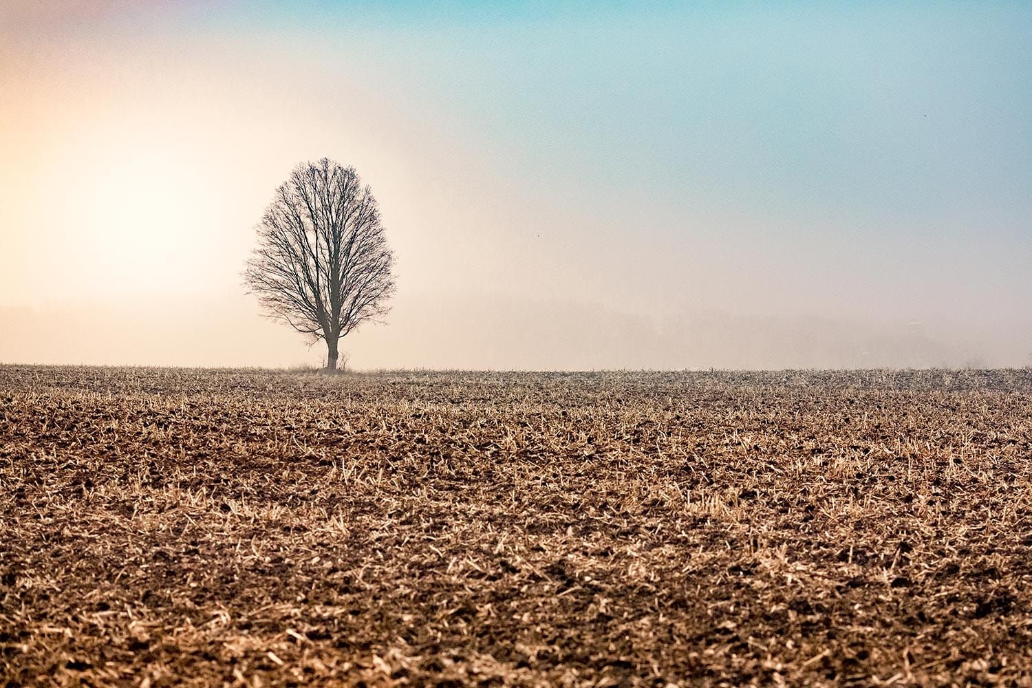 Community Update: 3/26/2026