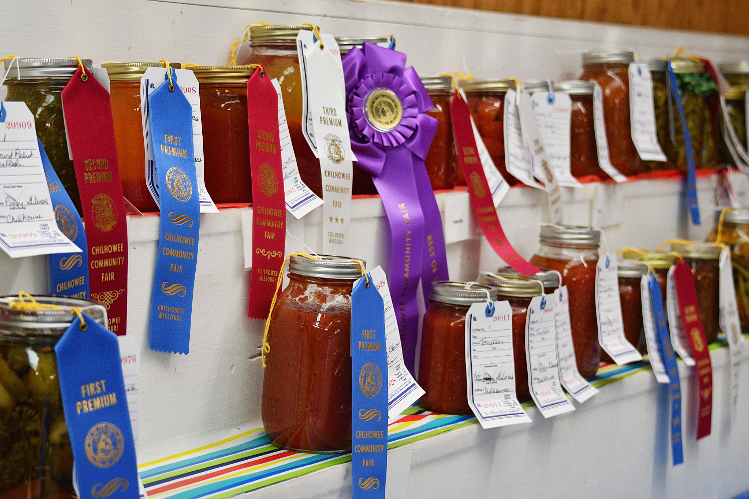 Green County Fair Entry Window Opens April 21