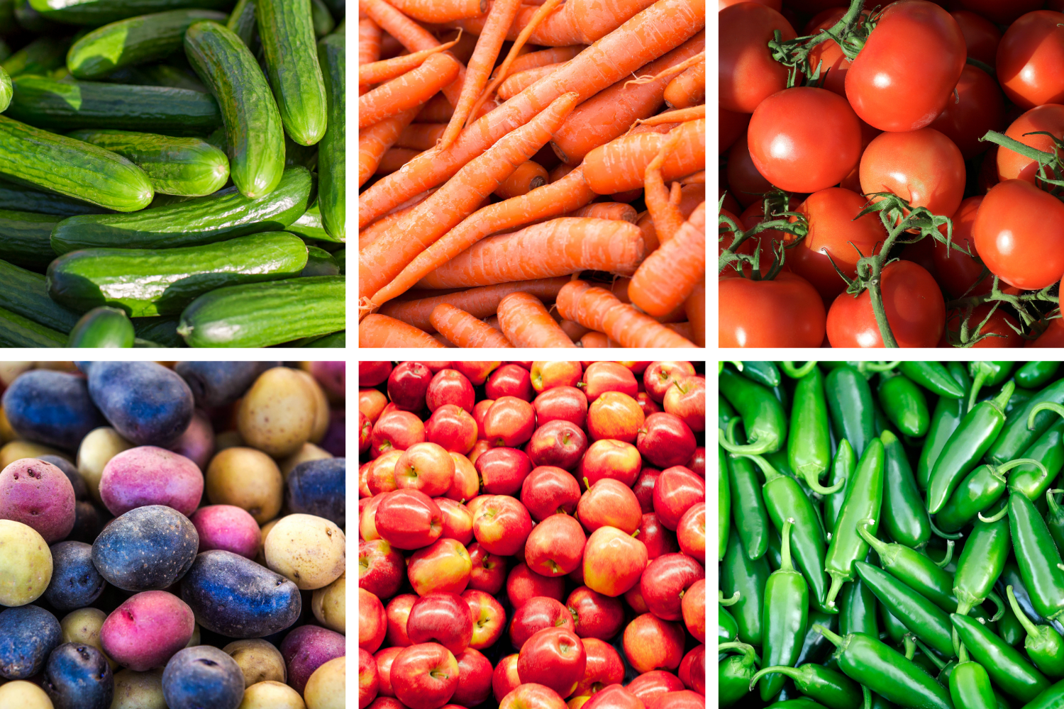 New Glarus Farmers Market Opens Friday
