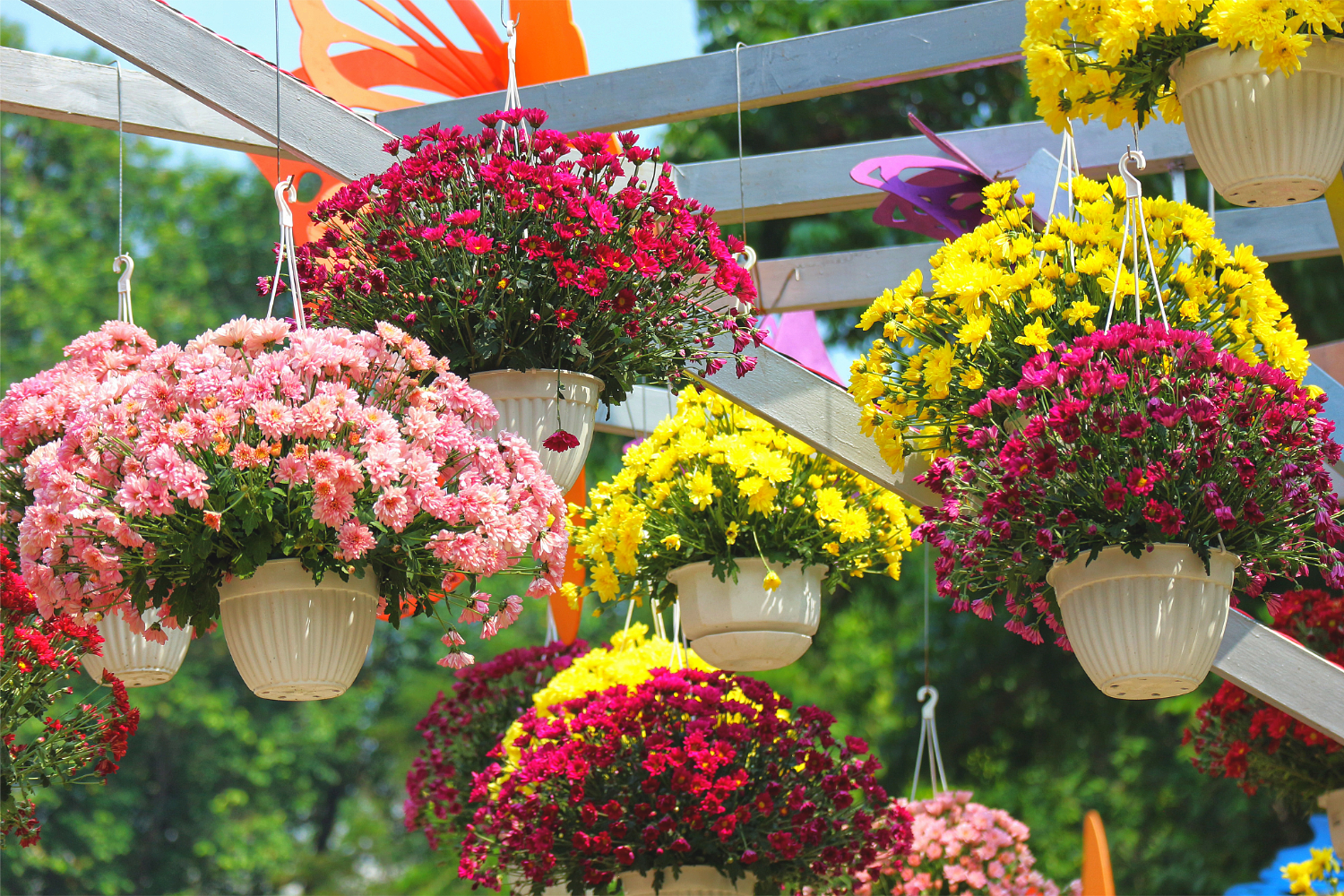 New Glarus High School Agriculture Department Sets Plant Sale