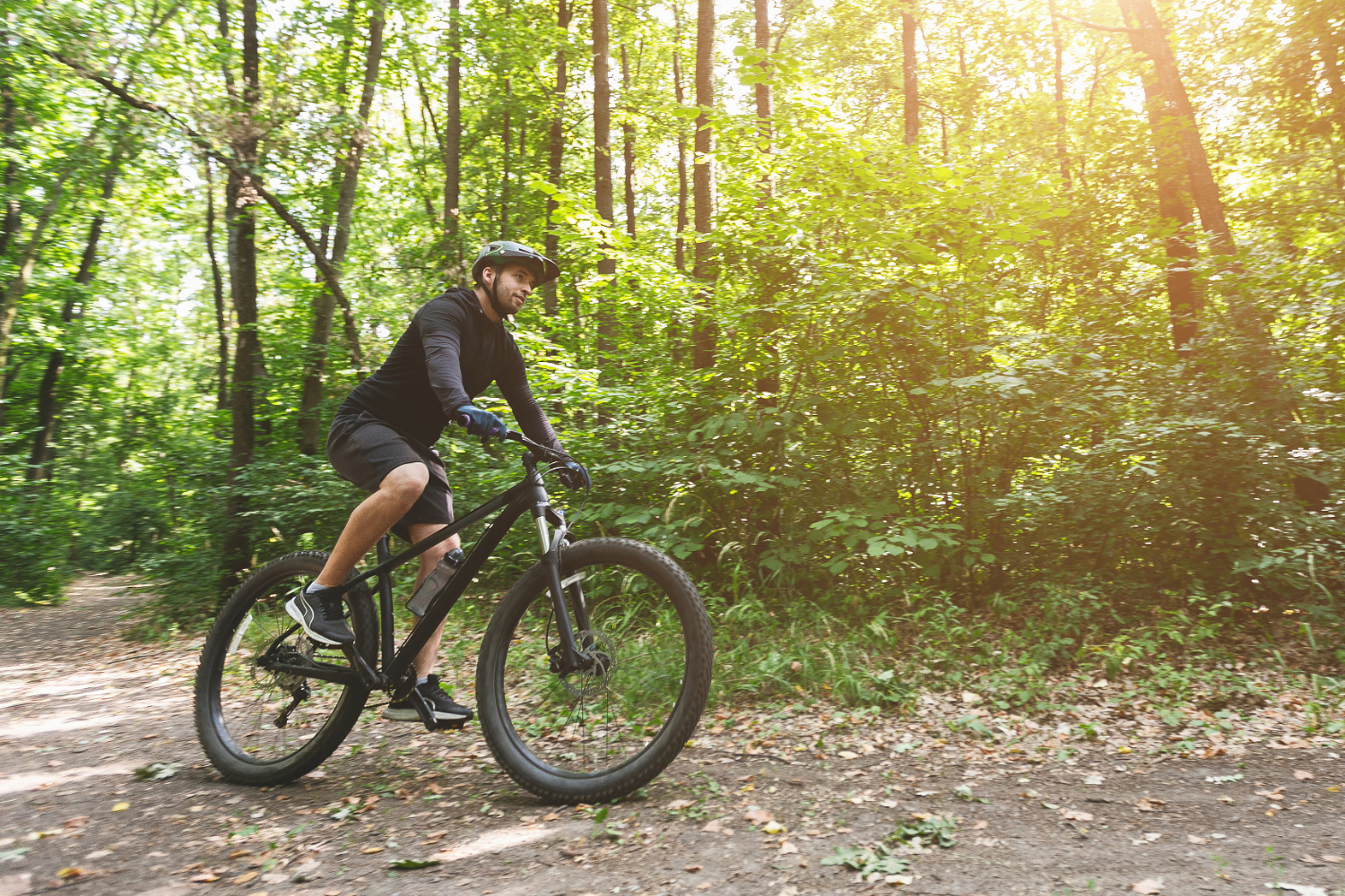 Grant Supports New Glarus Woods Trail Signage
