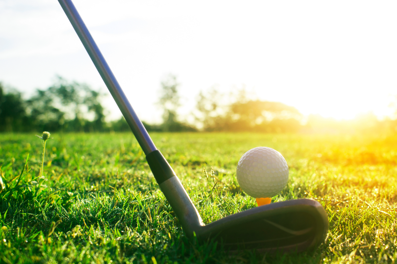 New Glarus Opens State Golf Meet in 41st