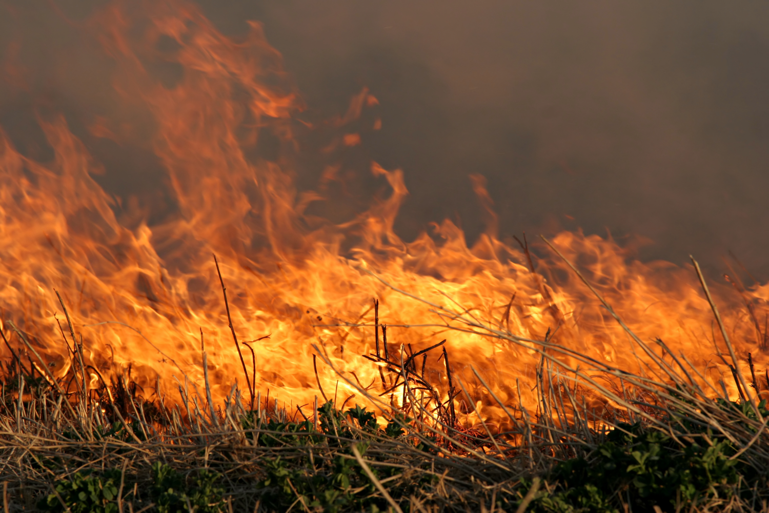 Firefighters Respond After Barn Burn Gets Away