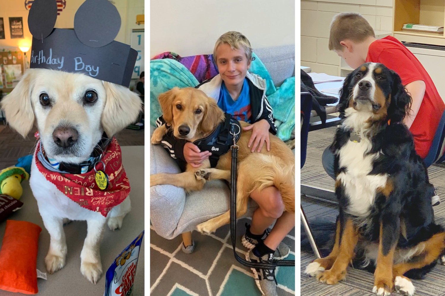 Meet the Four-Legged Heroes Changing New Glarus Classrooms