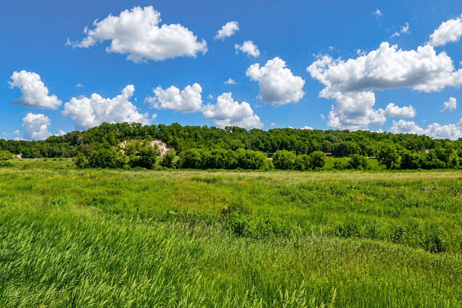 Hidden Along the Little Sugar River, a Prairie Waits