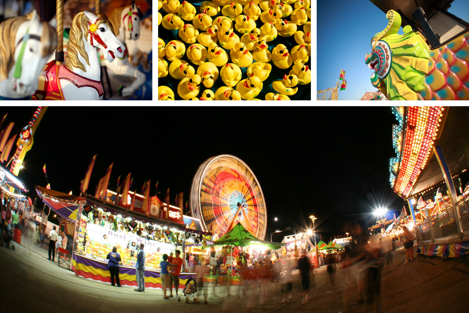 Top 10 Things to Do at the Green County Fair