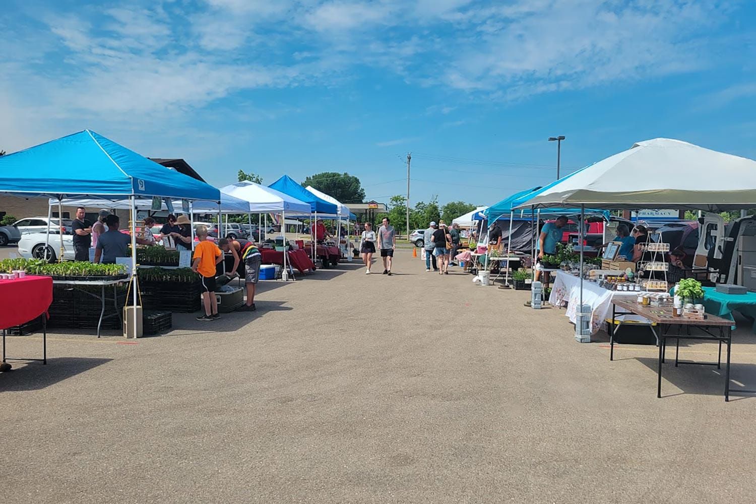 New Glarus Farmers Market Canceled Due to Rain