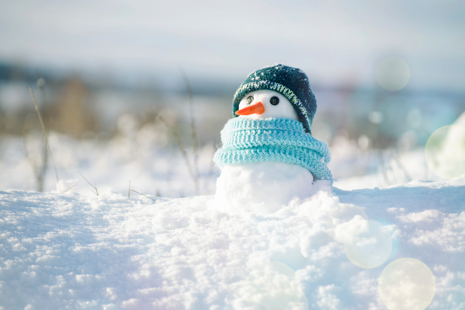 Early Winter Outlook Leans Warmer and Drier