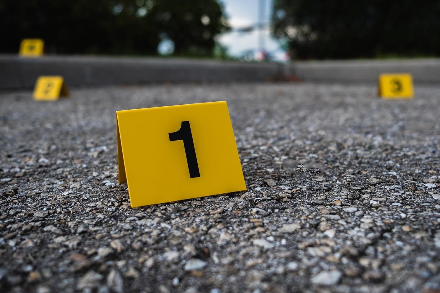 Six Months Later, a Fatal Hit-and-Run Remains Unsolved