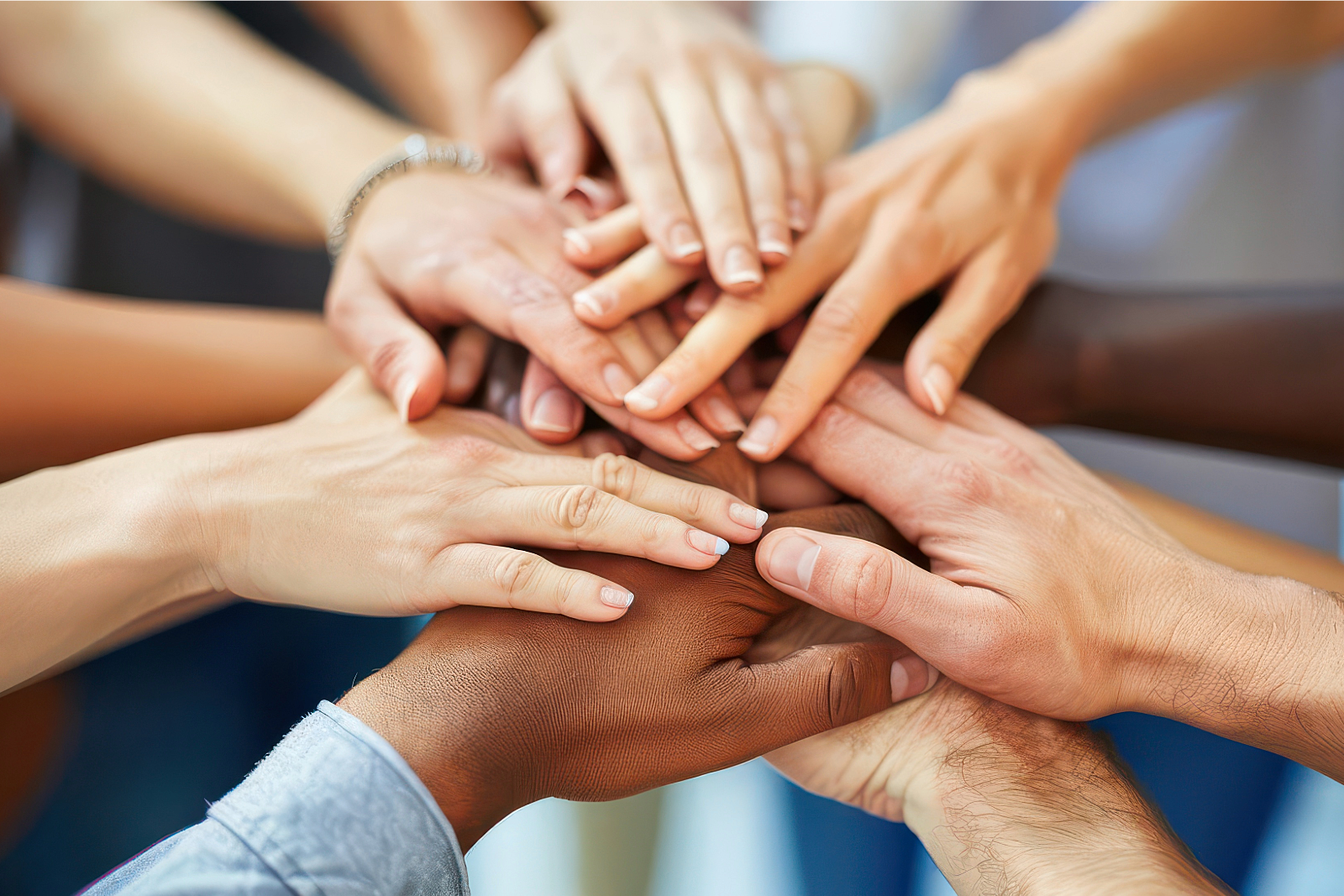 National Nonprofit Day: 10 Largest Nonprofits in New Glarus