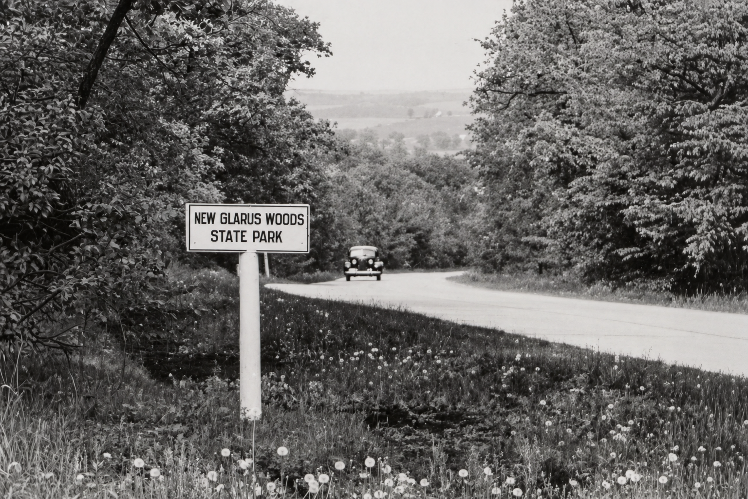 Historic Photo: A Different Highway 69 at New Glarus Woods