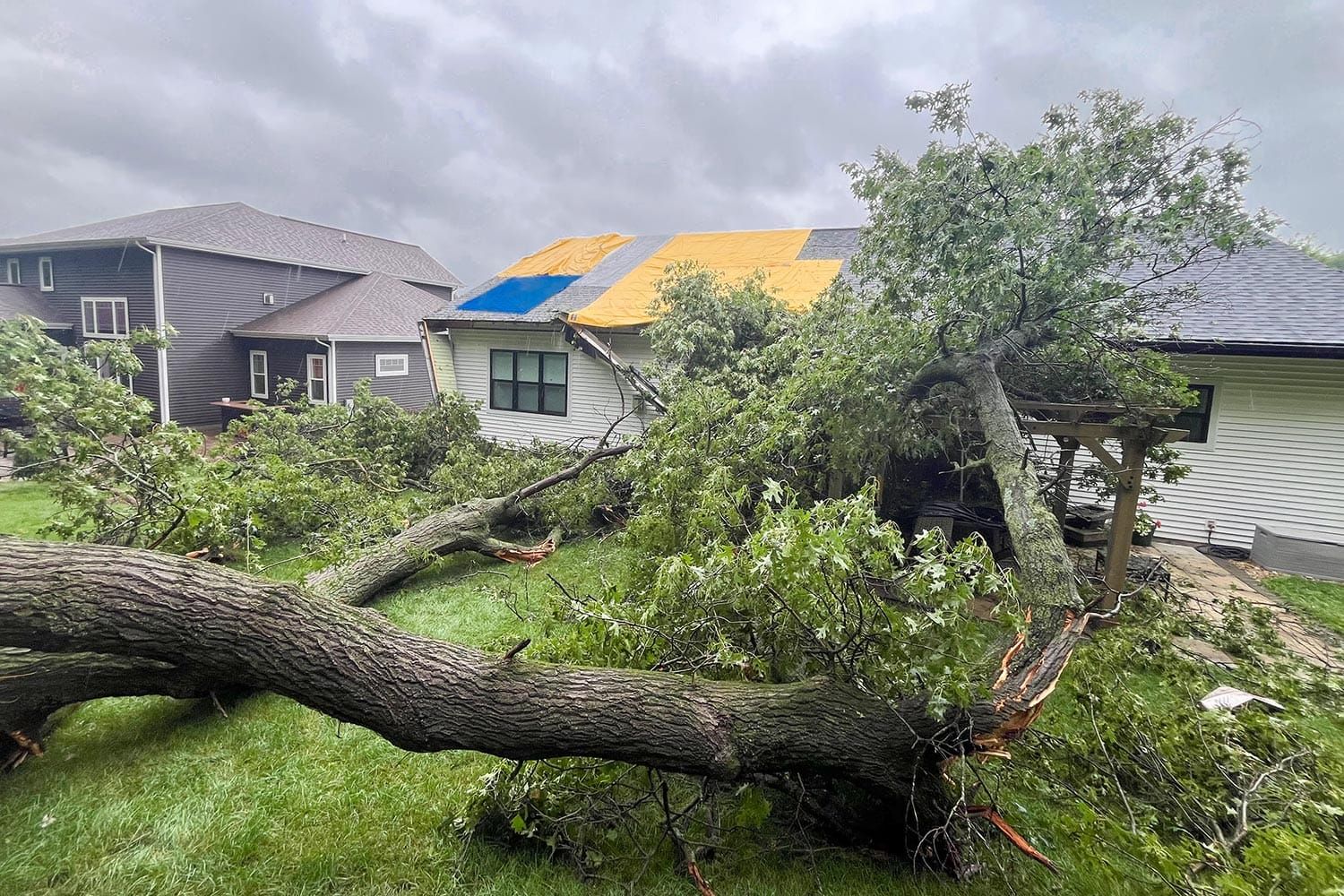 Tree Crashes Through a New Glarus Home