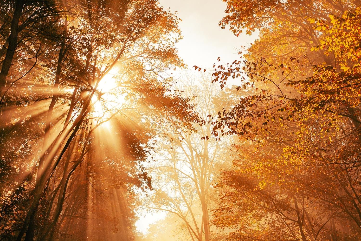 Top 12 Places to See Fall Colors Near New Glarus