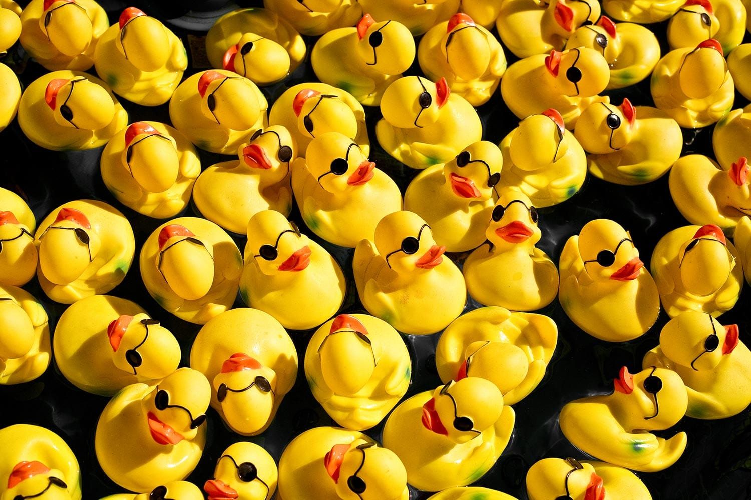 New Glarus Vision Launches Duck Race Fundraiser