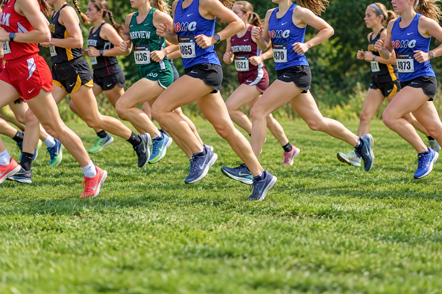 Mitchell, Maynard Lead New Glarus-Monticello at River Valley