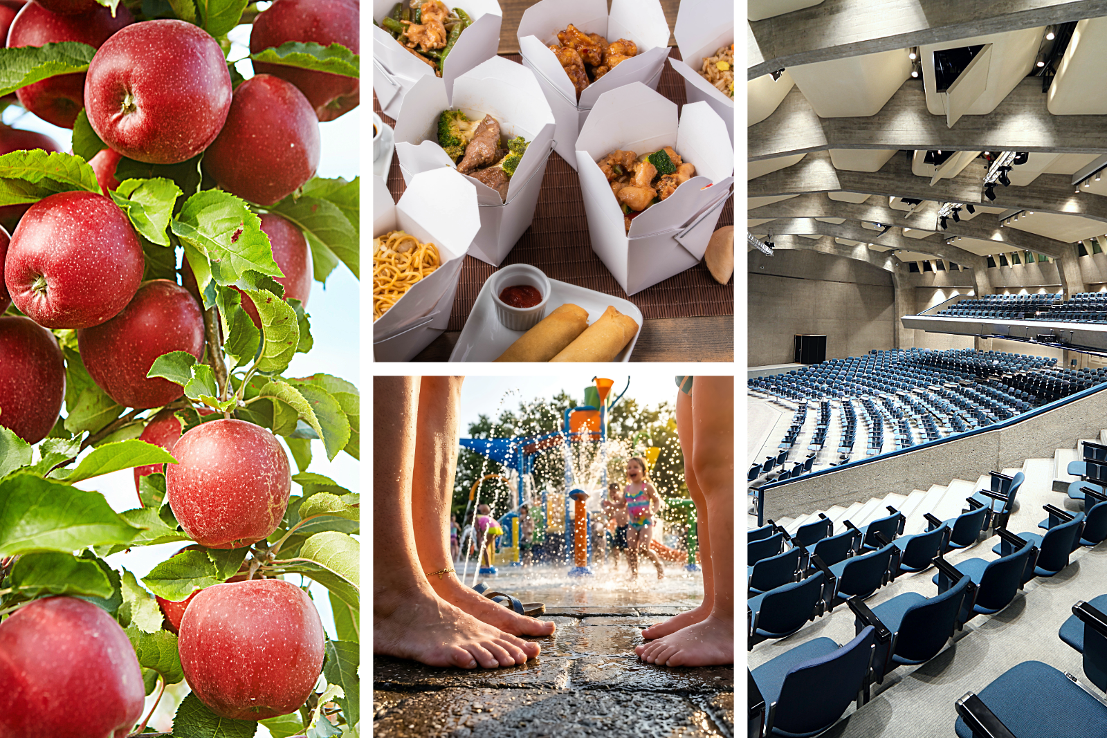 10 Things We Secretly Wish We Had from Neighboring Communities