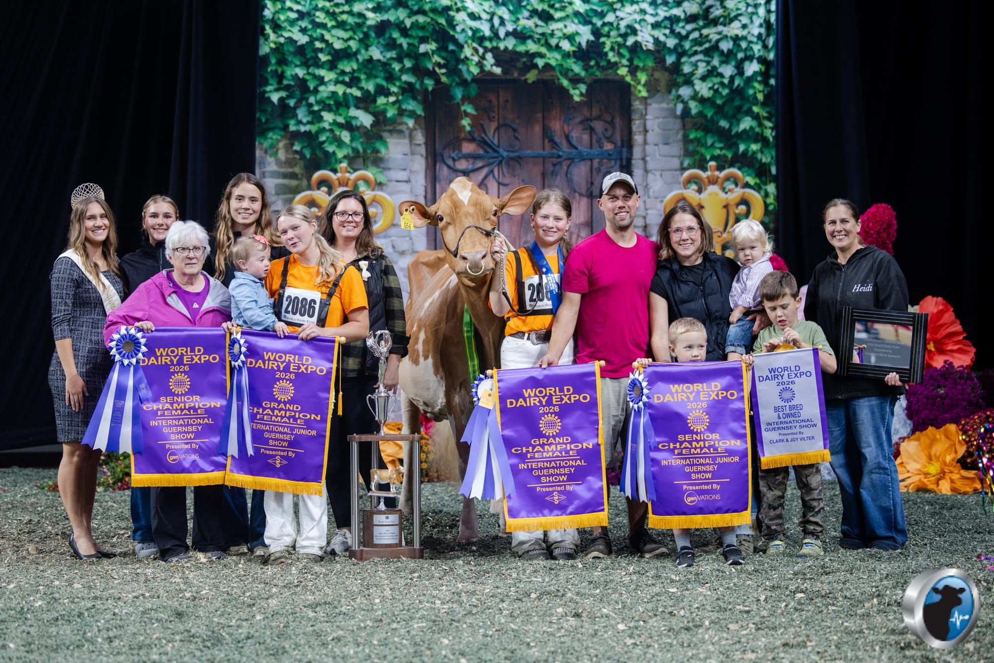 New Glarus Guernseys Claim Top Honors at World Dairy Expo