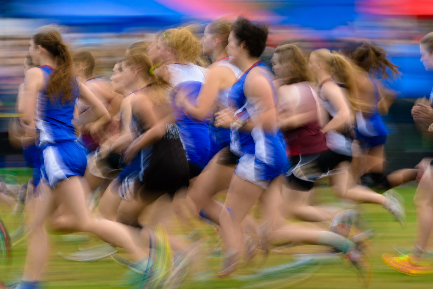 New Glarus-Monticello Runners Finish Season at Sectional