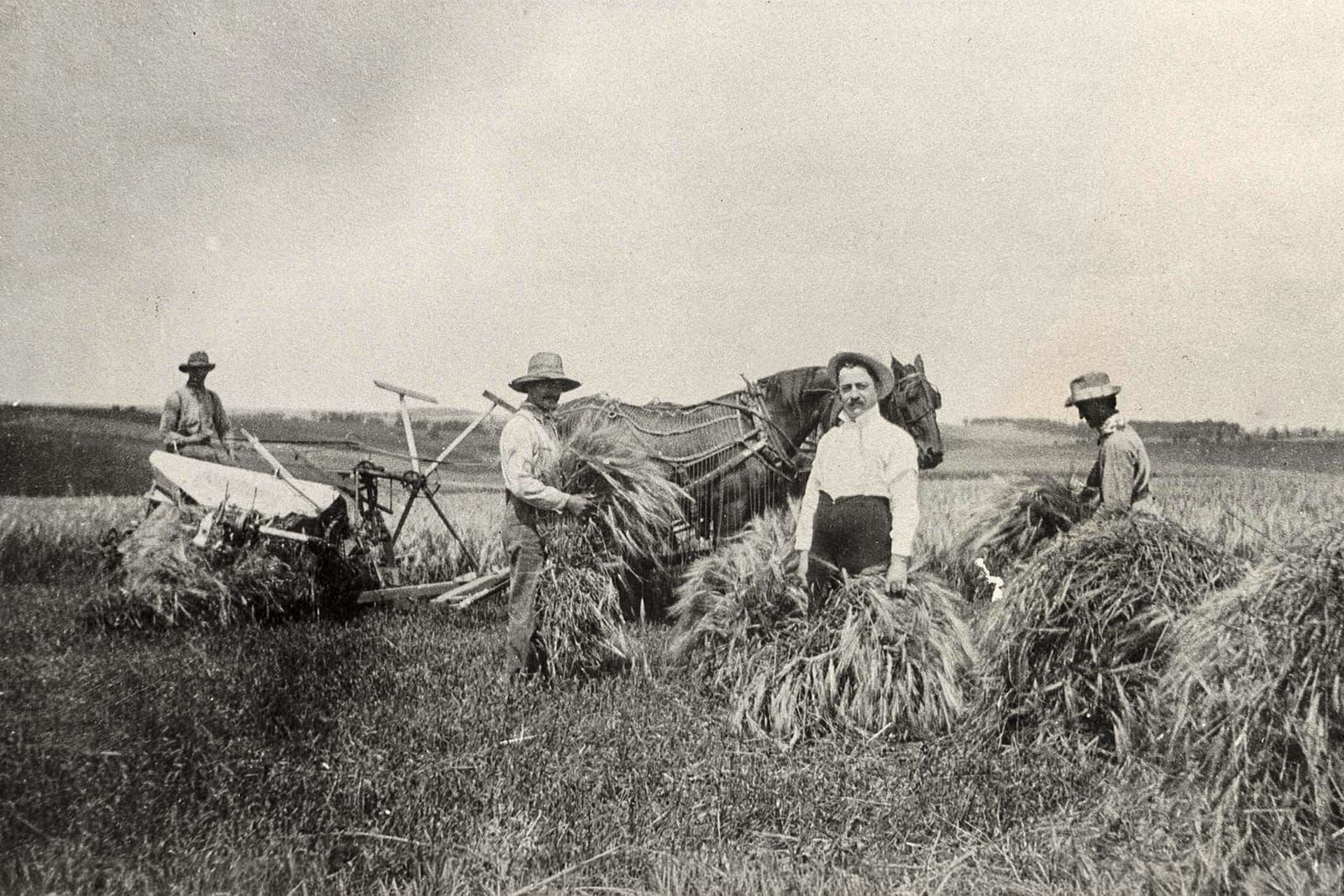Harvest: How Farming Reshaped the Hills Around New Glarus