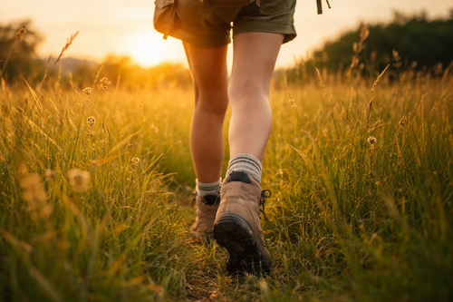 Town Seeks Community Help for Legacy Prairie Park