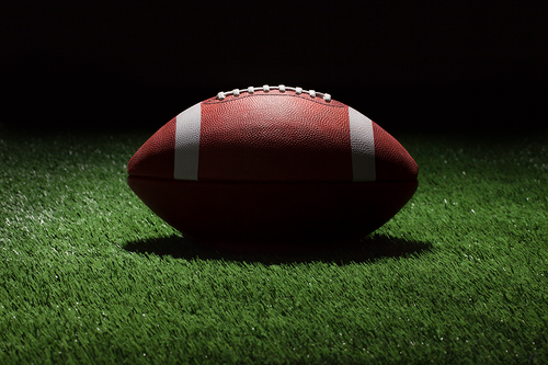 New Glarus Seniors Named to WFCA All-Star Team