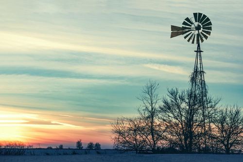 Community Update: 1/29/2026