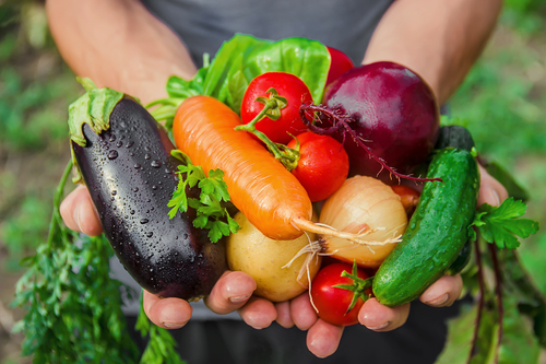 Easy Vegetable and Flowers for New Glarus Gardeners