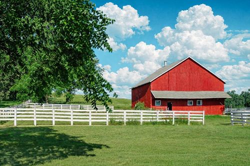 Counties Invited to Bid for Alice in Dairyland Finals