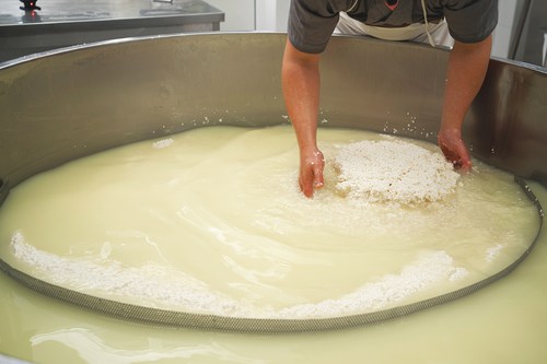 Whey is Big Business in Green County