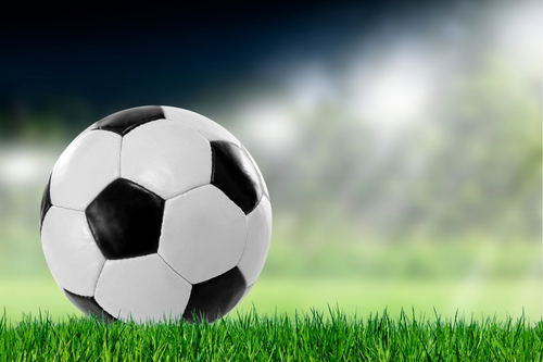 Sugar River Rolls Past Whitewater/Palmyra-Eagle 8-0