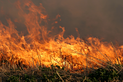 Firefighters Respond After Barn Burn Gets Away