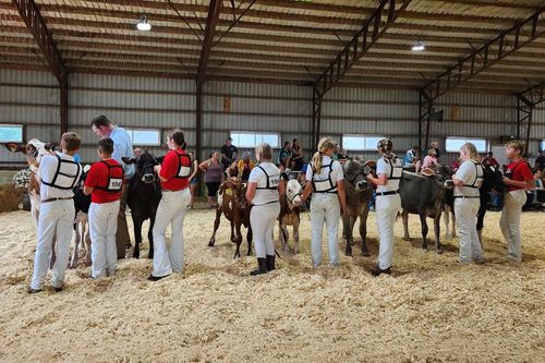 Dairy Days, Horse Fun Show Bring Youth to Fairgrounds