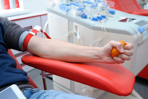 New Glarus Students Organize Summer Blood Drive