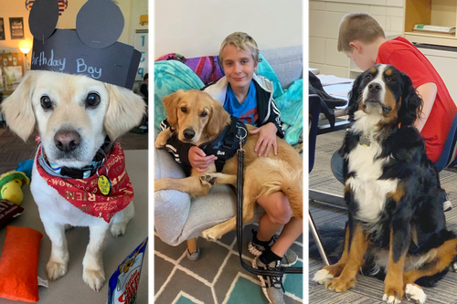 Meet the Four-Legged Heroes Changing New Glarus Classrooms
