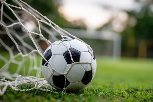 Sugar River Raiders Blank No. 8 River Valley, 4-0