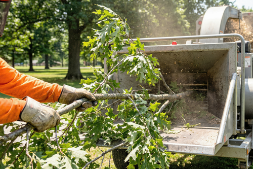 New Glarus Public Works to Make One More Weekly Brush Pickup