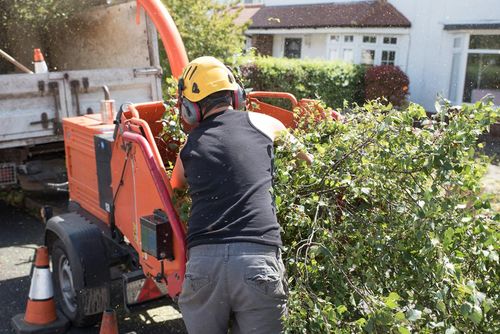 New Glarus Expands Brush Pickup Following Storm