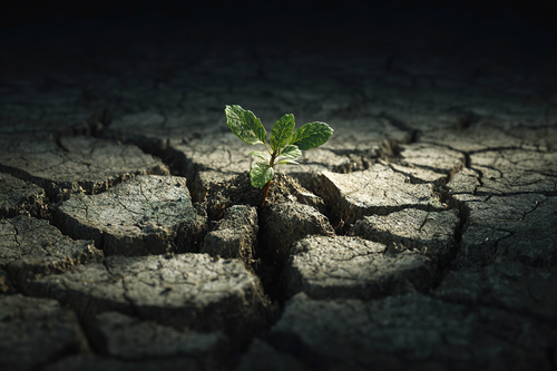 Dry Spell Raises Concerns for New Glarus Farmers and Gardeners