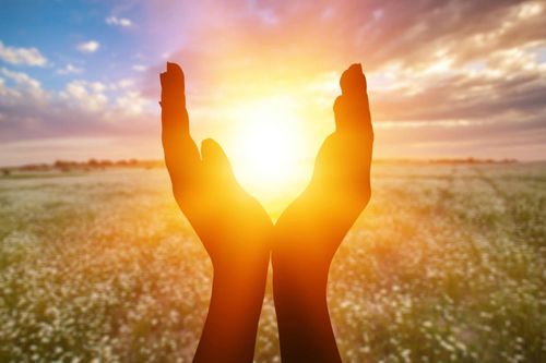 Summer Solstice Marks Nature’s Turning Point