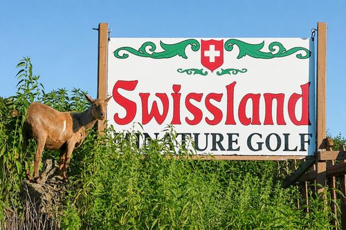 Swissland Miniature Golf Welcomes New Goats, Fresh Look for Summer