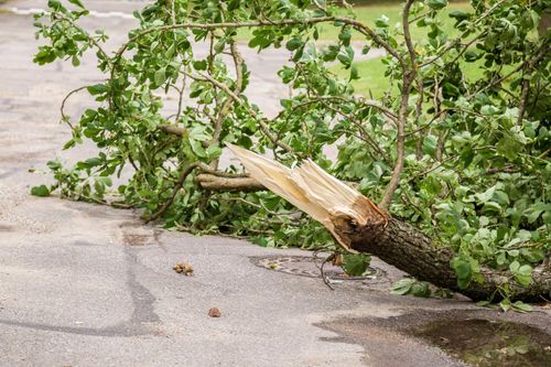 Severe Storm Triggers Fire Department Response in New Glarus