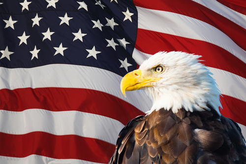 America's Symbol Soars Again Over New Glarus